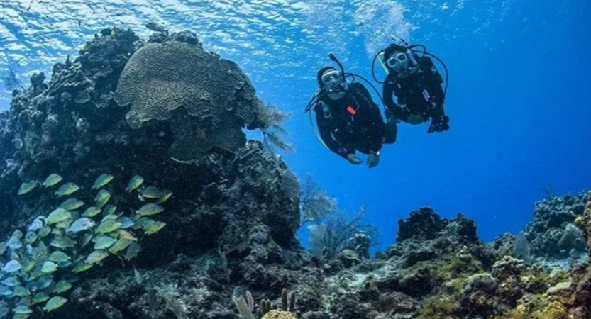 Discover Scuba Diving (DSD)