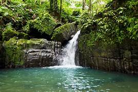 El Yunque Rainforest Adventure 🌿💦