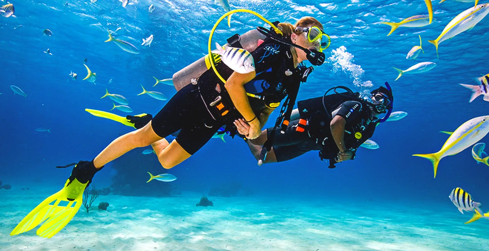 NAUI Open Water Certification