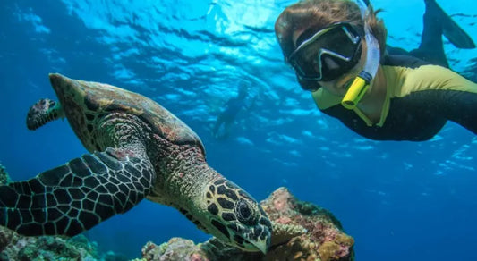 Snorkeling Courses